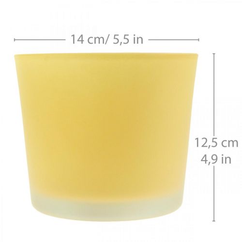 Article Cache-pot en verre cache-pot jaune pot en verre Ø14.5cm H12.5cm