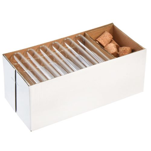 Mini vases en verre tubes de verre décoratifs avec bouchons H11,5cm 24 pcs