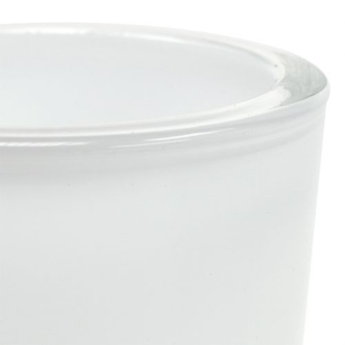 Floristik24 Pot en verre Ø7,8cm H8cm blanc