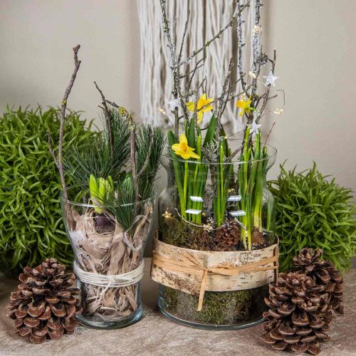 Floristik24 Vase en verre clair vase décoratif lanterne en verre vase à fleurs Ø18cm H25cm