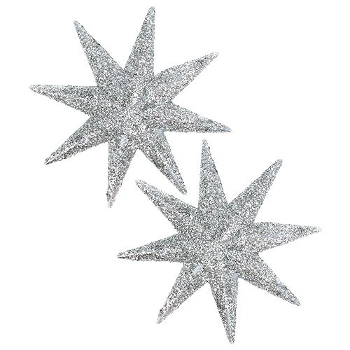 Floristik24 Étoile scintillante argent Ø10cm 12pcs