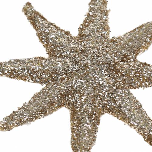 Floristik24 Étoile décorative pailletée champagne 5cm 20 pcs