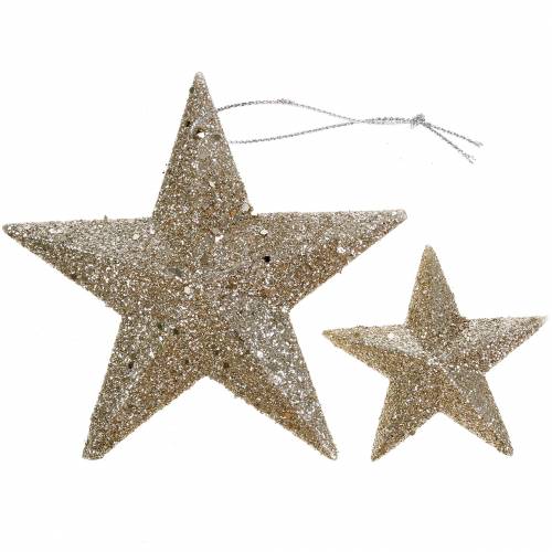 Article Champagne étoile pailletée 9,5/5cm 18 pcs