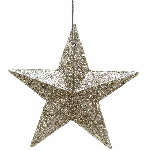 Article Champagne étoile pailletée 9,5/5cm 18 pcs