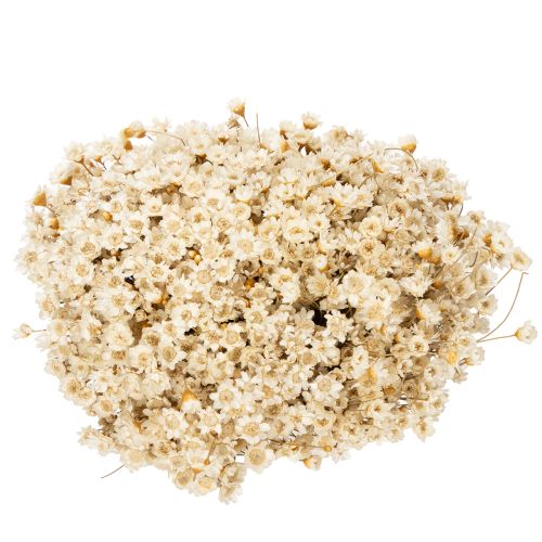 Article Bouquet de fleurs séchées, fleurs délicates pour une décoration intérieure naturelle, 44 cm