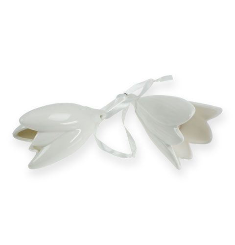 Floristik24 Campanule blanche à suspendre 9cm, 10cm 2pcs
