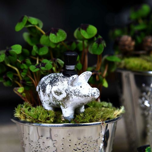 Floristik24 Cochon porte-bonheur avec cylindre argent 6,5 × 8cm 6pcs