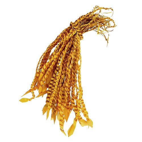 Floristik24 Vrille d&#39;Or Jaune Doré 50 pcs