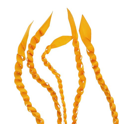 Article Vrille d'Or Jaune Doré 50 pcs