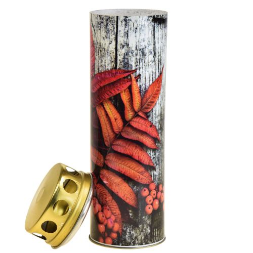 Floristik24 Bougies funéraires bougies deuil motifs automne couleur Ø6cm H20cm 6 pièces