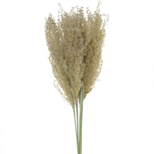 Herbe séchée herbe ornementale pour flore sèche décoration nature H55cm