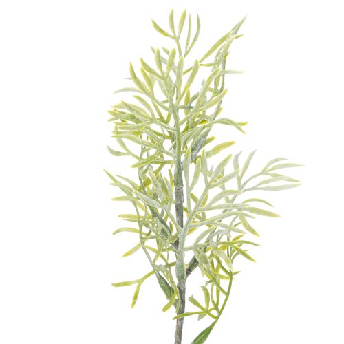 Article Branche d'asperge ornementale, élément naturel pour les bouquets de fleurs, 34 cm, 7 pièces