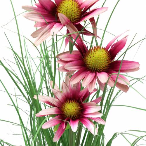 Floristik24 Herbe avec échinacée en pot Rose Plante artificielle 44cm