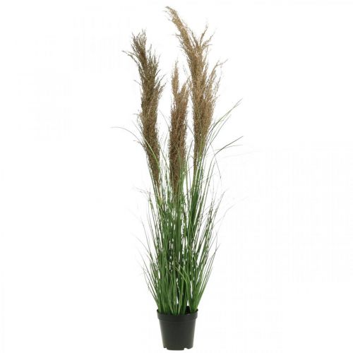 Carex artificiel en pot avec fleurs séchées vert, marron 98cm
