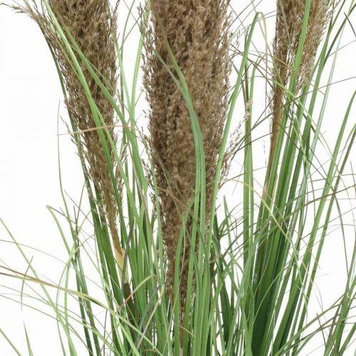 Article Carex artificiel en pot avec fleurs séchées vert, marron 98cm