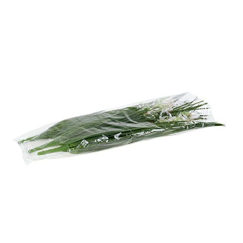 Article Buisson d&#39;herbe à fleurs vert, blanc 3 pcs