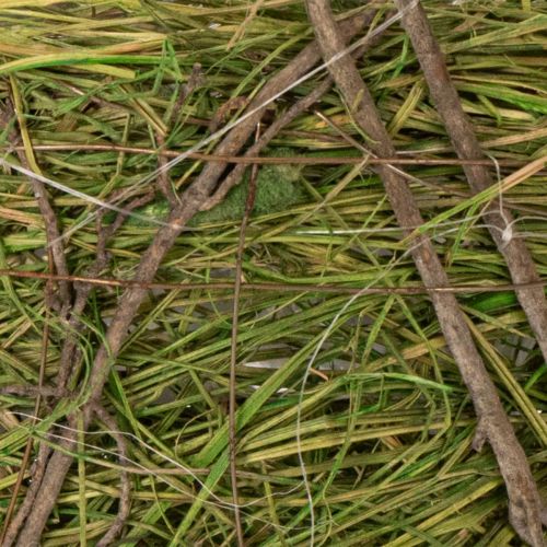 Article Panier de Pâques, motif naturel, panier à main pour la décoration festive de la maison, 25 cm