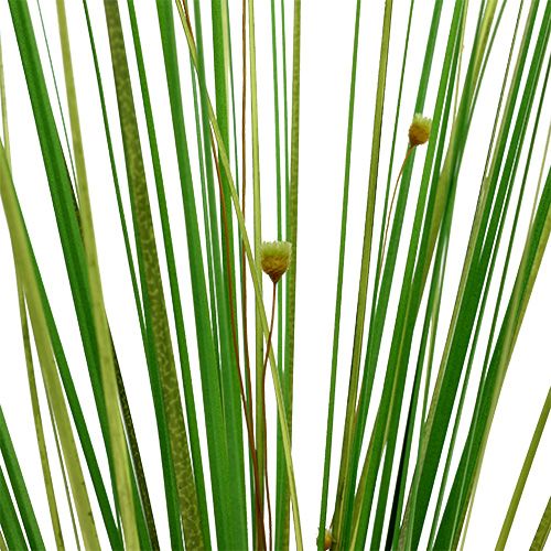 Floristik24 Touffe d’herbe avec fleurs 58 cm vert 6 p.