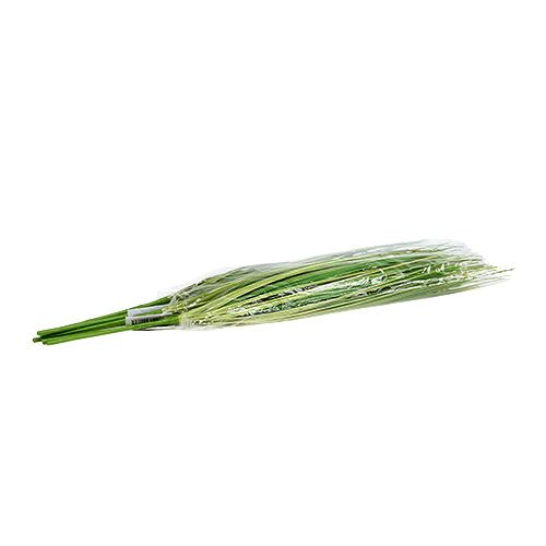 Floristik24 Touffe d’herbe avec fleurs 58 cm vert 6 p.