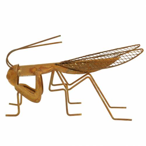 Floristik24 Grille de décoration de jardin métal rouille noble 14,5cm