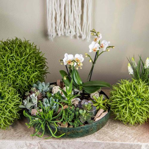 Floristik24 Grand bol décoratif bol antique vert métal Ø38cm H7cm