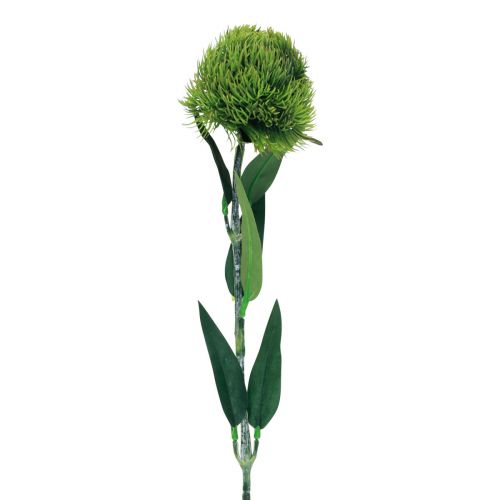 Article Fleur artificielle d&#39;oeillet barbu vert comme du jardin 54cm