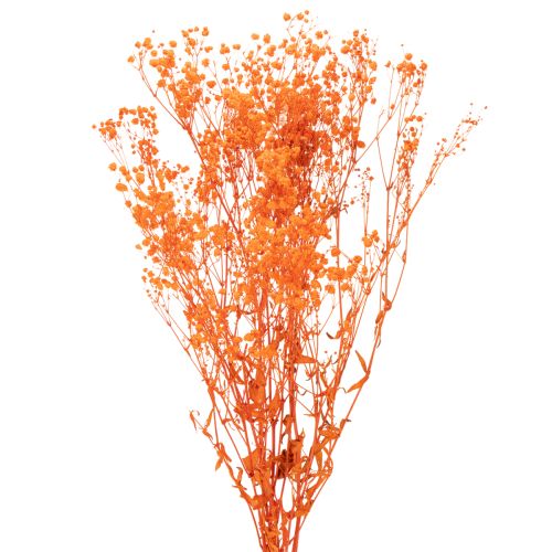 Gypsophile séchée orange 75 cm 100 g acheter | Floristik24.fr