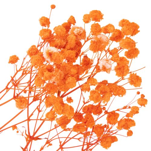 Gypsophile séchée orange 75 cm 100 g | Floristik24.fr