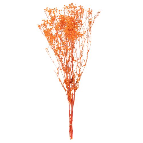 Gypsophile séchée orange 75 cm 100 g | Floristik24.fr
