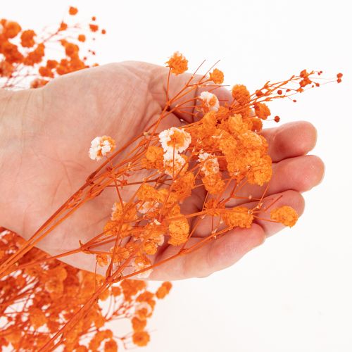 Gypsophile séchée orange 75 cm 100 g | Floristik24.fr
