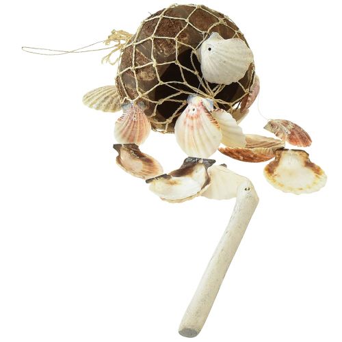 Article Coquillages décoratifs à suspendre décoration coquille de noix de coco maritime 53cm 2pcs
