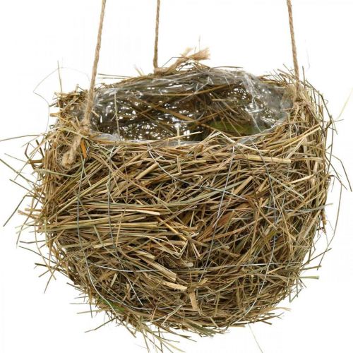 Floristik24 Blumenampel Heu Natur Panier à plantes à suspendre Pot suspendu Ø20cm