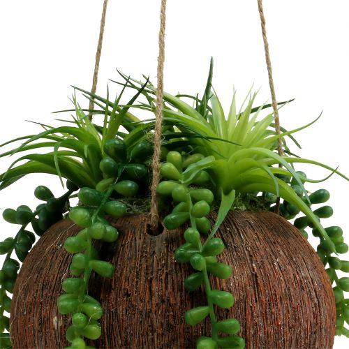 Article Succulentes artificielles en pot à suspendre L60cm Ø16cm