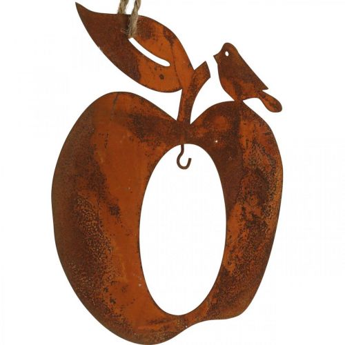 Floristik24 Suspension déco métal pomme poire patine décoration 23/24cm 2pcs