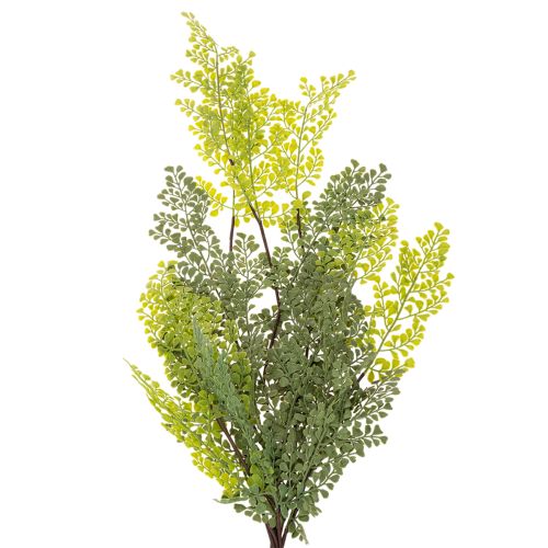 Branche de Fougère Artificielle Fine pour Décoration 80cm | Floristik24.fr