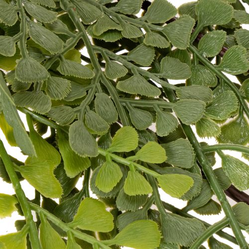 Branche de Fougère Artificielle Fine pour Décoration 80cm | Floristik24.fr