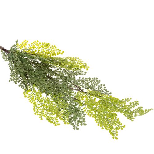 Branche de Fougère Artificielle Fine pour Décoration 80cm | Floristik24.fr