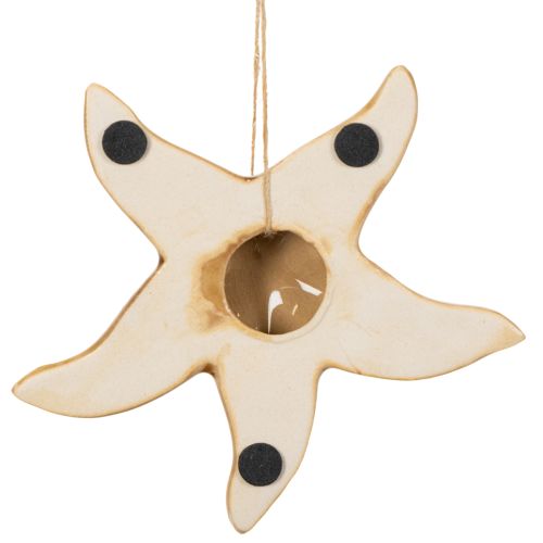 Article Étoile de mer décorative en céramique à suspendre, pour une ambiance marine, décoration estivale pour la maison, 12 cm, lot de 2