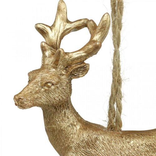 Floristik24 Pendentif de Noël renne déco cerf or 9.5cm 4pcs
