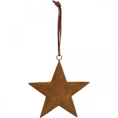 Floristik24 Pendentif de Noël étoile étoile en métal aspect rouille H13,5cm