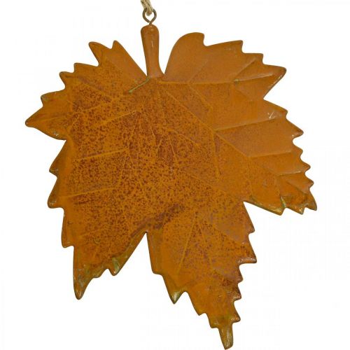 Floristik24 Décoration d&#39;automne feuilles métal aspect rouille feuille d&#39;érable 6 pièces