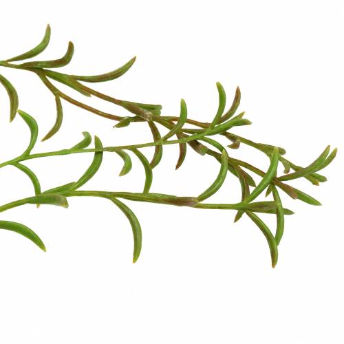 Floristik24 Cactus corail Rhipsalis artificiel cintre 90cm