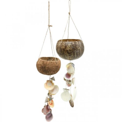 Bol coco avec coquillages, bol végétal naturel, coco en suspension Ø13,5/11,5cm, lot de 2
