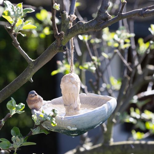 Floristik24 Champignon décoratif avec oiseau déco automne à suspendre Ø15cm H12cm