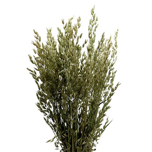 Bouquet d&#39;avoine naturel 1bouquet d&#39;avoine décoratif