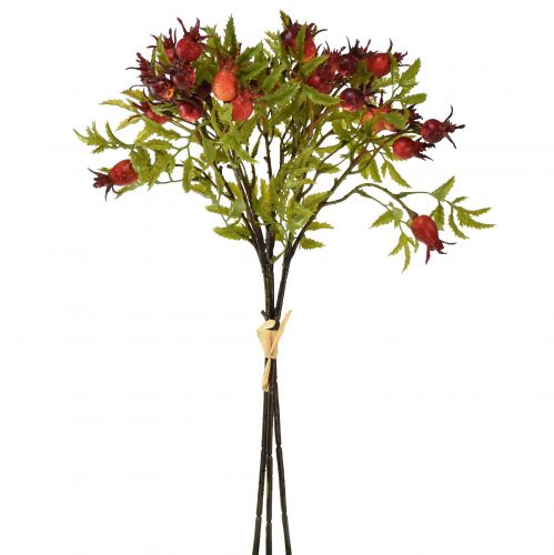 Décoration de cynorhodon rouge branches de cynorhodon artificielles 48 cm 3 pièces | Floristik24.fr