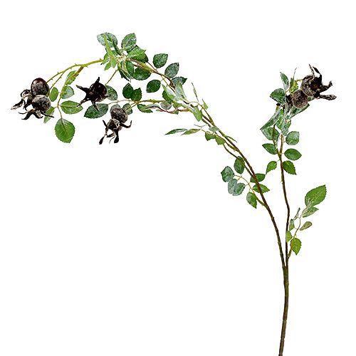 Floristik24 Branche d'églantier L92cm avec neige