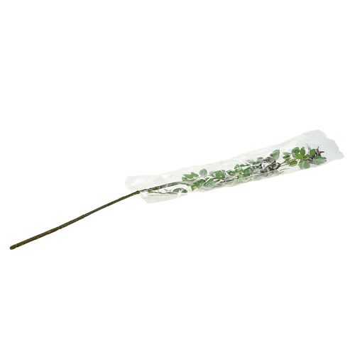 Floristik24 Branche d'églantier L92cm avec neige