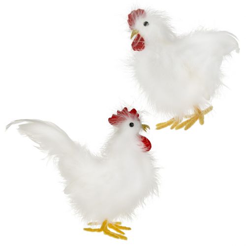 Floristik24 Coq poule avec plumes blanc 17cm, 21cm 2pcs