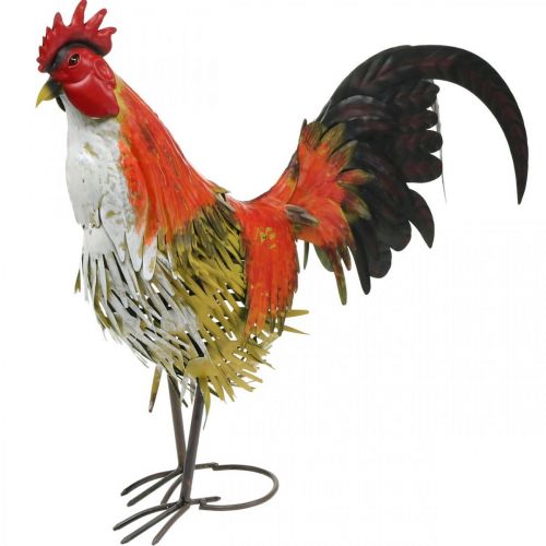 Floristik24 Coq décoratif en métal décoration de jardin colorée décoration en métal 58×13×50cm